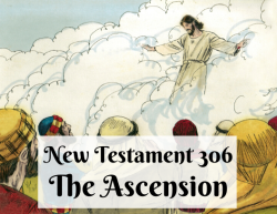 NT 306 - The Ascension